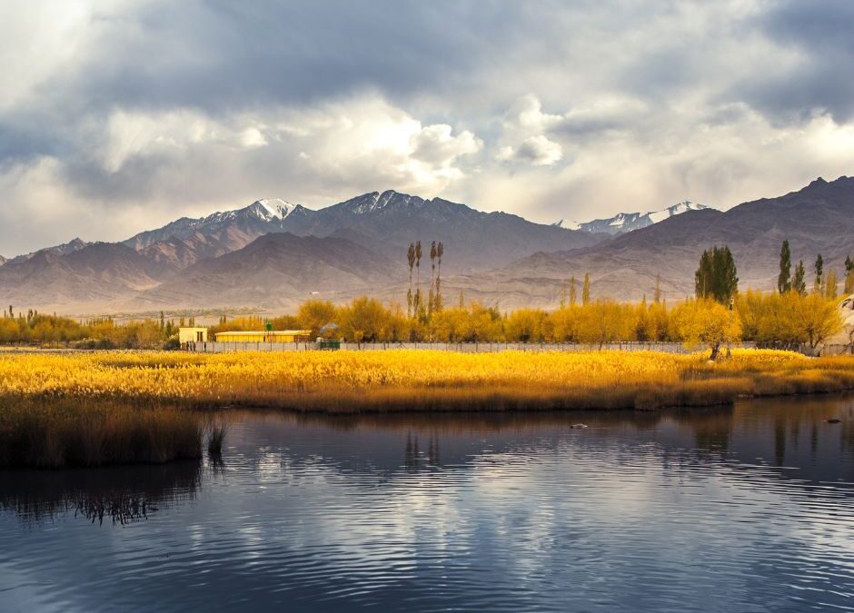 Leh Ladakh Tour