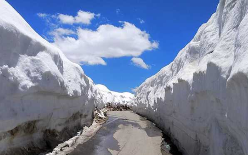 Manali Package from Chennai