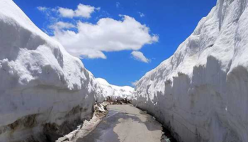 Manali Package from Chennai